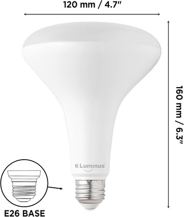 Luminus BR40 Bulb