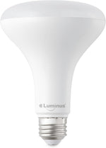 Luminus BR40 Bulb