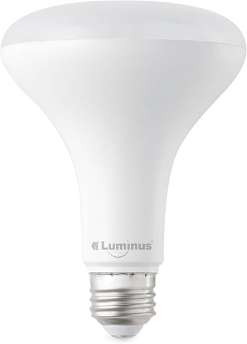 Luminus BR30 Bulb